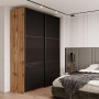 Шкаф купе Doros G-Caiser Дуб Эвок 2 Стекла / 3 части 180х60х240 (DRS-011574) - фото 1