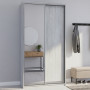 Шафа-купе Doros Сити Лайт Сосна Натти 1 ДСП / 1 дзеркало 120х60х225 (DRS-011959) - фото 1
