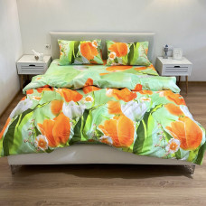 Комплект постельного белья Поликотон LeLIT P-0119 Салатовый Семейный (LLT-111238)