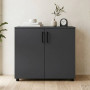 Комод Doros Торн Антрацит 2 ДСП 90х51.6х80 (DRS-012086) - фото 1