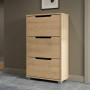 Тумба для взуття з шухлядами LION ТО-2 70,4x28,2x123,4 см Дуб Кренома Торро (LION-045336) - фото 1