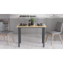 Стіл універсальний Knap Ferrum-decor 750x1200x600 Чорний метал ДСП Дуб Артизан 16 мм (FRD-106351) - фото 2