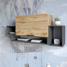 Полиця LION Краш з одним закритим відсіком Дуб аппалачі/Антрацит (LION-044067)