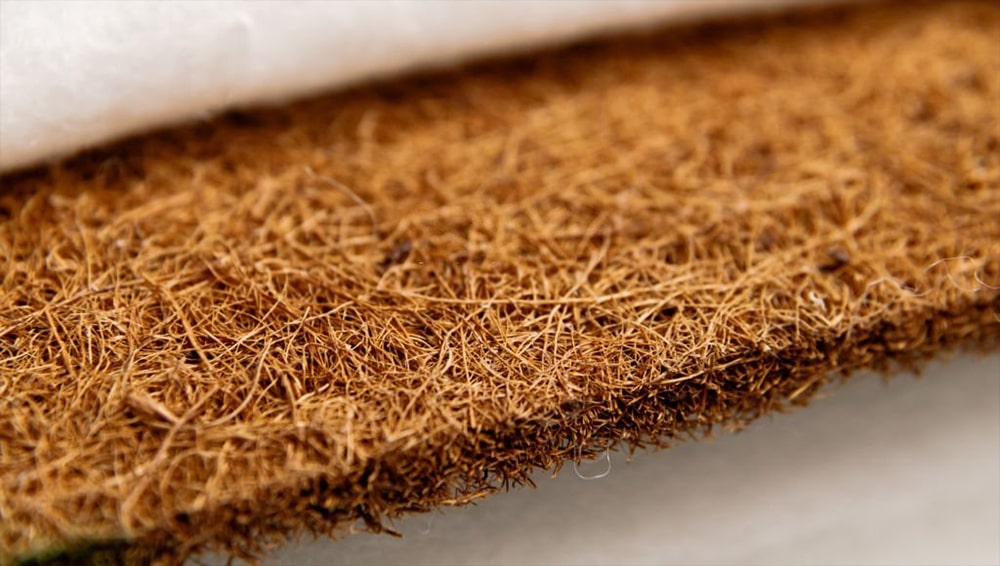 кокосова койра